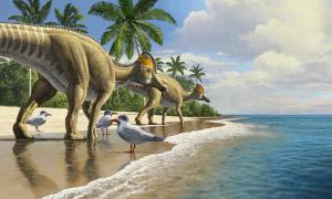 Wussten Sie, dass Dinosaurier Ozeane überqueren konnten?