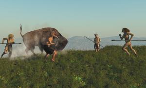 Neandertaler sammelten wahrscheinlich einen Großteil ihrer Nahrung, anstatt Großwild zu jagen