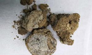 2.700 Jahre alte Gesichtscreme im Grab eines Adligen gefunden