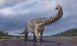 Australiens größter Dinosaurier entdeckt!