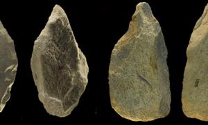 400.000 Jahre alte Werkzeuge aus Elefantenknochen aufgedeckt