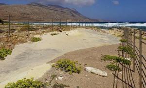 Umdatierung der Kreta-Fußspuren stellen Darwin infrage