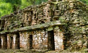 Legendäre Halle der Aufzeichnungen Yucatans in Yaxchilan entdeckt? Seltsame Labyrinthe und Edgar Cayce - Teil I