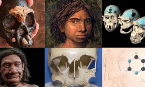 Die 10 wichtigsten Entdeckungen zur menschlichen Evolution im Jahr 2021
