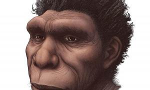 Homo bodoensis: Wurde gerade ein neuer menschlicher Vorfahre entdeckt?