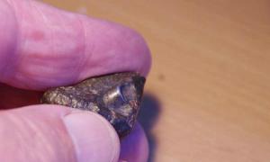 Unerklärliches Objekt in Meteoriten gefunden