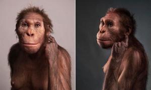 Fehlendes Bindeglied in der Wirbelsäule entdeckt, das Affen, Neandertaler und uns verbindet
