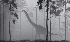 Mokele-Mbembe: Ein Dinosaurier im afrikanischen Dschungel?