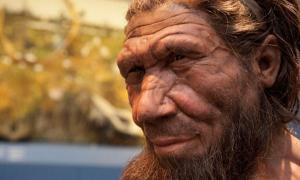 Neandertaler in Höhle bei Rom von Hyänen gefressen