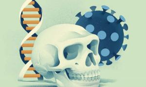 Haben Sie die guten oder schlechten COVID-19 Neandertaler-Gene?