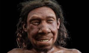 Das Gesicht von Krijn, dem ersten Neandertaler der Niederlande