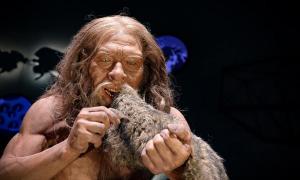 Aussterben der Neandertaler? Schwer zu fangende kleine Beute!