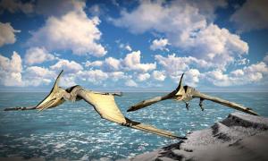 Die Ropen der Pterodactyl von Neuguinea