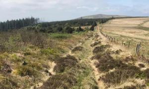 Die Römer bauten eine Straße nach Südwest-Wales!