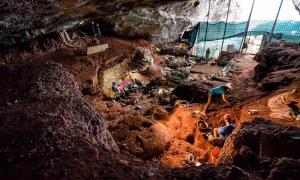 eue steinzeitliche Felskunst in der Grotta Romanelli gefunden