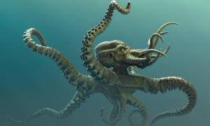 War der Krake ein riesiger Oktopus, Tintenfisch oder eine Krabbe?