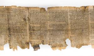 Shapira Bildlauf: Fake or Real Saga entwickelt