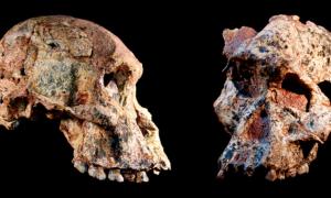 Fossilien der Wiege der Menschheit auf 1 Million Jahre älter datiert