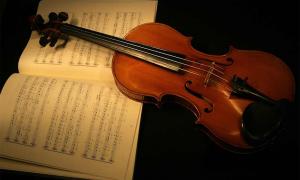Die chemischen Geheimnisse der Stradivari-Geigen