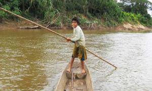 Tsimane-Amazonen haben Schlüssel zum langen Leben