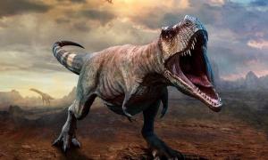 Tyrannosaurus rex, so die neueste wissenschaftliche Studie, jagte in Rudeln, ähnlich wie Wölfe.