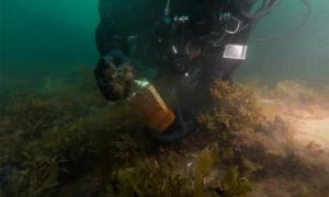 Unterwasserarchäologen erforschen arktische Wracks
