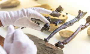 Wissenschaftler haben einen 11,62 Millionen Jahre alten Affen beschrieben, der sich wie kein anderes Lebewesen auf der Erde bewegt hat!