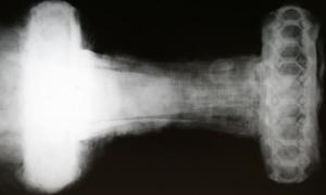 Seltenes Mayback-Wikingerschwert auf den Orkney entdeckt