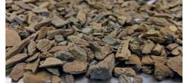 Älteste Denisovaner-Fossilien in Sibirien gefunden!
