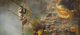 Honig sammeln an den Klippen des Himalaya in Nepal