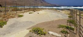 Umdatierung der Kreta-Fußspuren stellen Darwin infrage