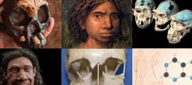 Die 10 wichtigsten Entdeckungen zur menschlichen Evolution im Jahr 2021