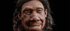 Das Gesicht von Krijn, dem ersten Neandertaler der Niederlande