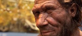 Kennen wir die Neandertaler wirklich?