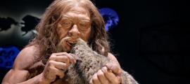 Aussterben der Neandertaler? Schwer zu fangende kleine Beute!