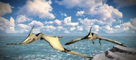 Die Ropen der Pterodactyl von Neuguinea