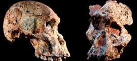 Fossilien der Wiege der Menschheit auf 1 Million Jahre älter datiert