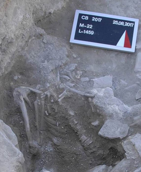 Die Überreste eines jungen Mannes, die in der Türkei in der Nähe des Skeletts eines Hundes ausgegraben wurden. Beide waren Opfer des Mega-Tsunamis, der durch den Ausbruch von Santorin Thera oder den minoischen Ausbruch verursacht wurde.